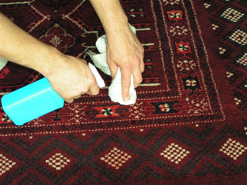 Oliva Service - Oakville Carpet cleaning company | Area Rug Cleaning