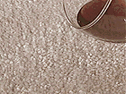 Carpet and Upholstery Protection