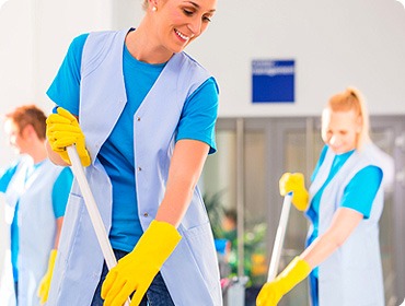 Oliva Service - Oakville Carpet cleaning company | Carpet cleaning tips for allergy sufferers.