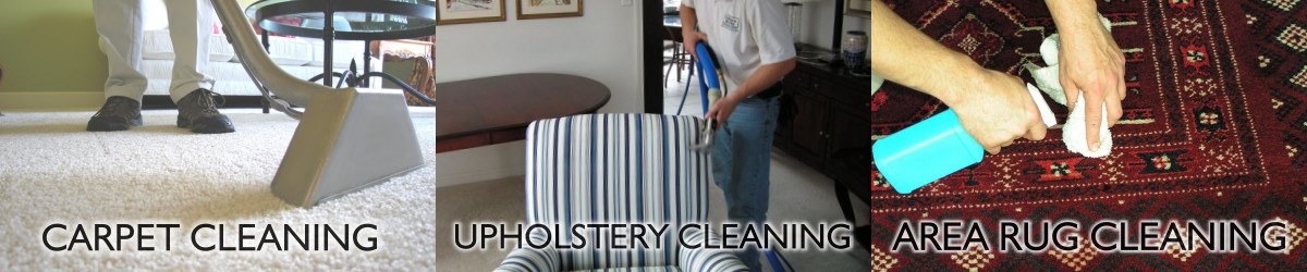 Oliva Service - Oakville Carpet cleaning company | Carpet Cleaning Mississauga