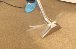 Oliva Service - Oakville Carpet cleaning company | Carpet Cleaning
