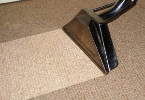 Oliva Service - Oakville Carpet cleaning company | Carpet Cleaning