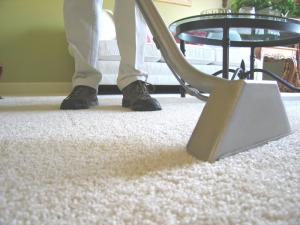 oliva carpet cleaning wand