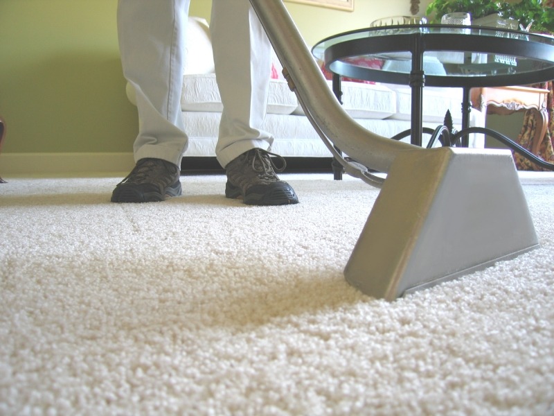 Oliva Service - Oakville Carpet cleaning company | Testimonials