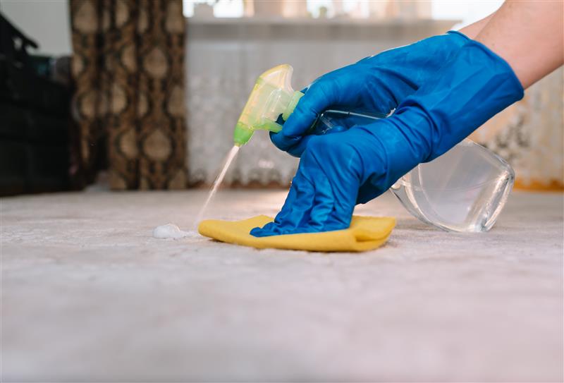 Oliva Service - Oakville Carpet cleaning company | Pet Odours Decontamination Services Oliva Service - Oakville Carpet cleaning company|Pet Odours Decontamination Services